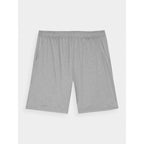 Men's 4F quick-drying regular training shorts 4FWAW24TFSHM697-25M *Kategoria tymczasowa Your Sports Performance