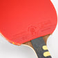 Giant Dragon 7★ N8072 Table Tennis Racket Accessories/Rackets and accessories Your Sports Performance