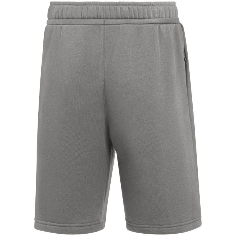 Nike Park 26 Fleece Kids Shorts Gray IB1242 063