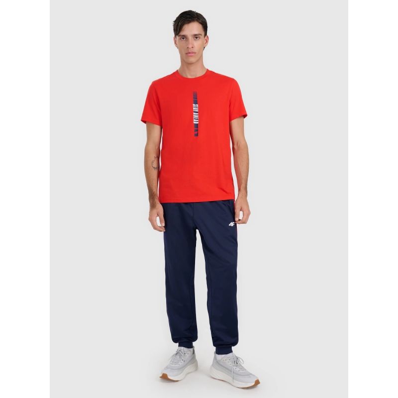 Men's regular printed T-shirt 4F 4FRAW25TTSHM3225-62S *Kategoria tymczasowa Your Sports Performance