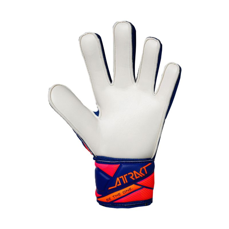 Reusch Attrakt Solid Junior goalkeeper gloves blue 5672515 4126 To be categorized Your Sports Performance