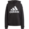 adidas Essentials Big Logo Oversized French Terry Hoodie W HR4934 Clothing/Lifestyle/adidas Adidas
