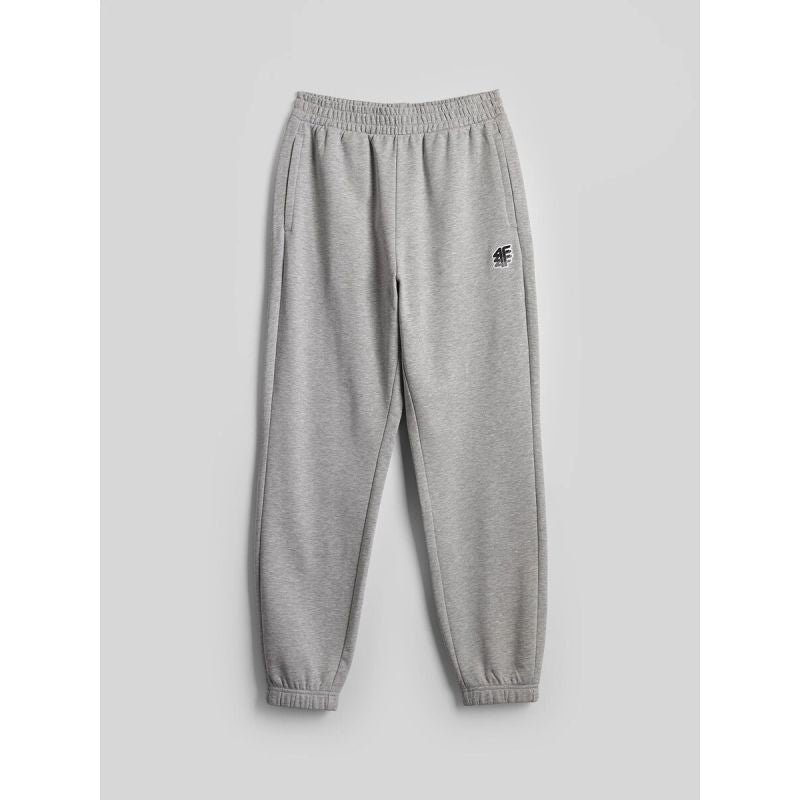 Men's jogger sweatpants 4F 4FRAW26TTROM2176-27M