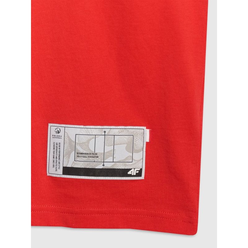 Men's regular t-shirt with volleyball print 4F 4FRAW25TTSHM3319-62S 4f