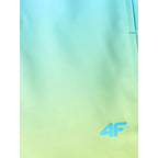 Men's boardshorts 4F 4FRSS26UBDSM224-31S 4f