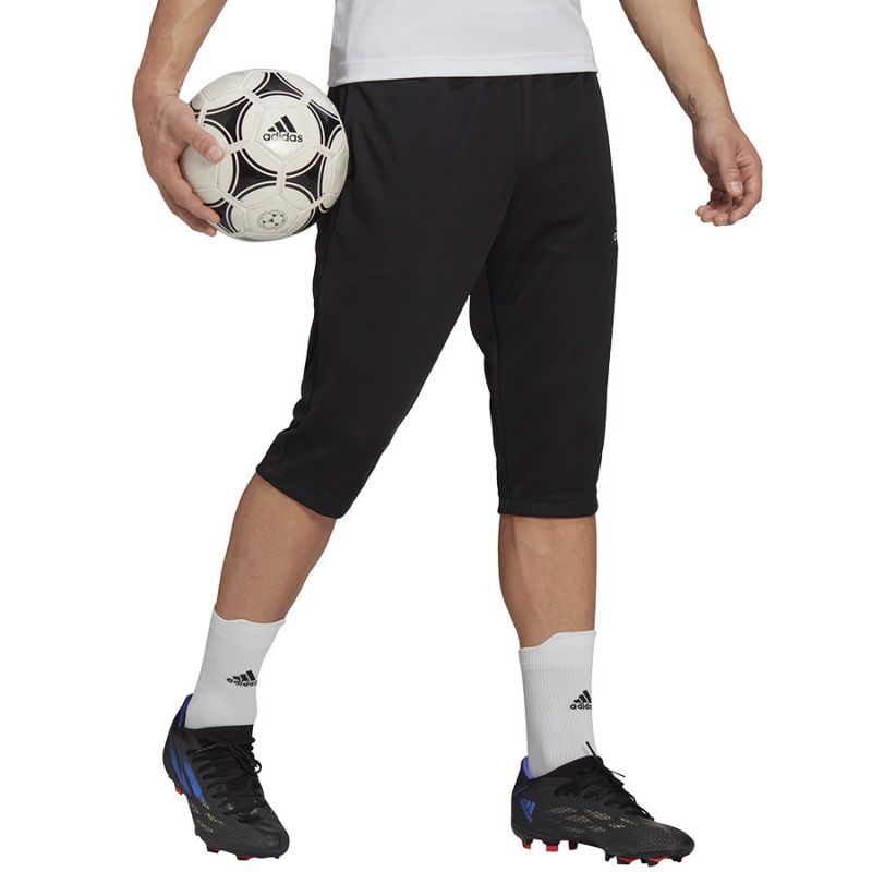 Pants adidas Entrada 22 3/4 Panty M HB0576 Clothing/Training Adidas