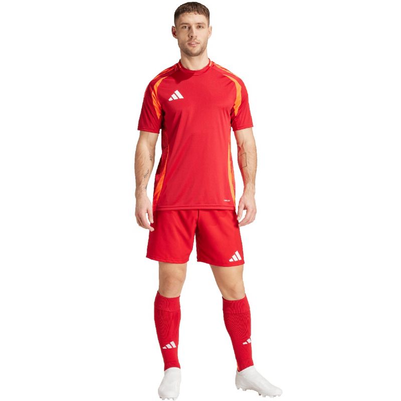 Adidas Tiro 24 Competition Training M shorts IK2245 Clothing/Football Adidas