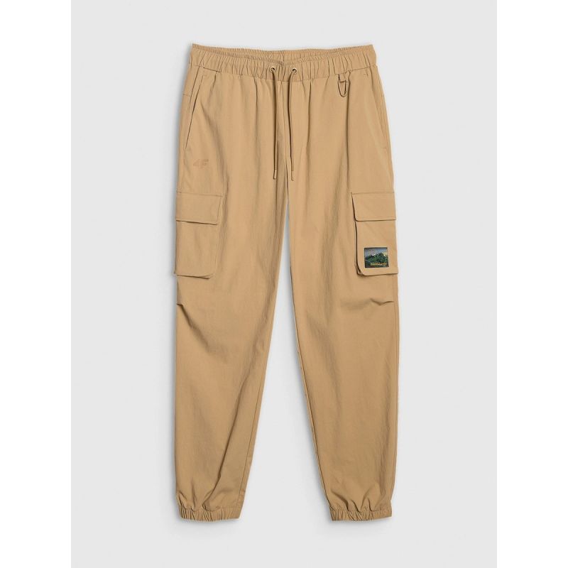 Men's casual cargo pants 4F 4FRAW25TTROM1690-83S 4f