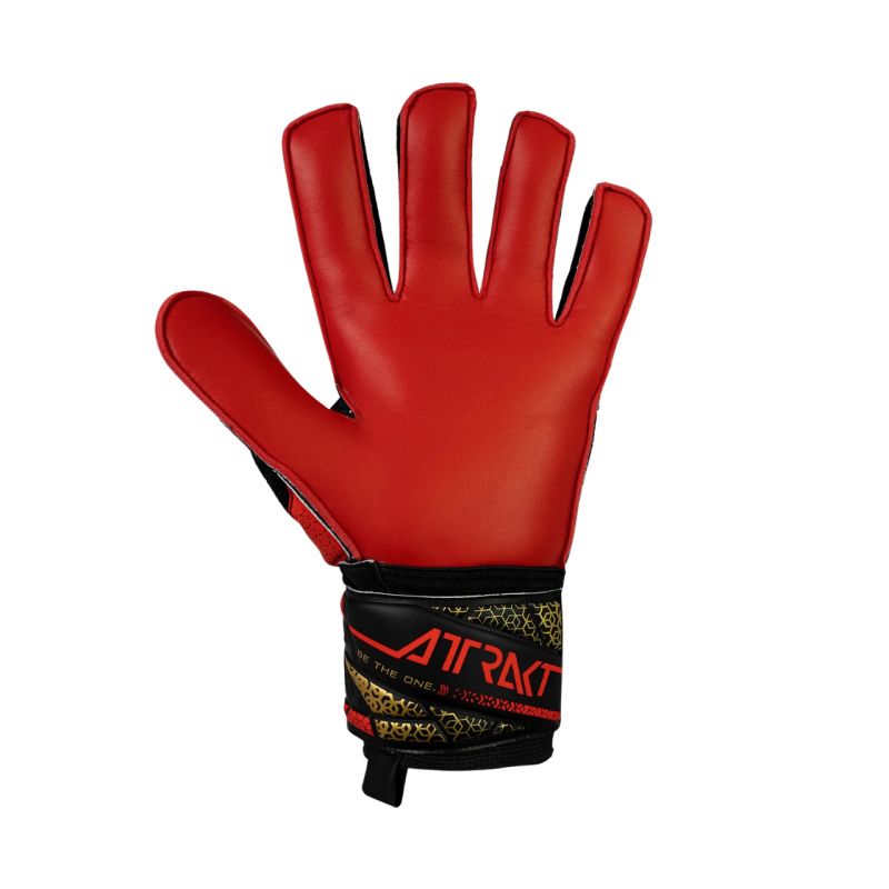 Reusch Attrakt Solid 5570515 7075 Goalkeeper Gloves Accessories/Gloves Your Sports Performance