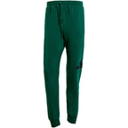 adidas Essentials Big Logo French Terry Pants M JE8971 Clothing/Lifestyle/Trousers, shorts Adidas