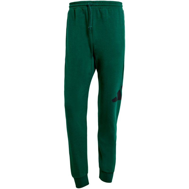 adidas Essentials Big Logo French Terry Pants M JE8971 Clothing/Lifestyle/Trousers, shorts Adidas