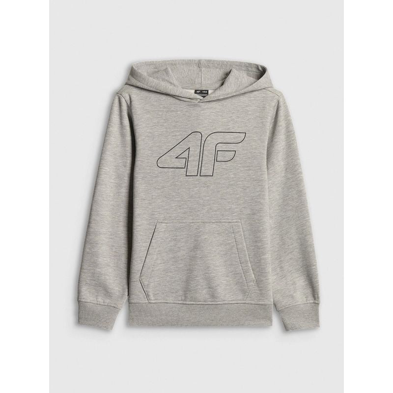 Boy's regular hooded sweatshirt 4F 4FJRSS26TSWSM2748-25M 4f