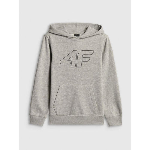 Boy's regular hooded sweatshirt 4F 4FJRSS26TSWSM2748-25M 4f