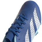 Adidas Predator Accuracy.3 L FG M GZ0015 football shoes Footwear/Football Adidas
