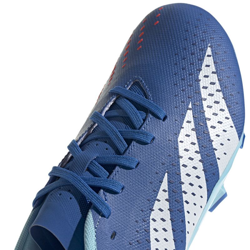 Adidas Predator Accuracy.3 L FG M GZ0015 football shoes Footwear/Football Adidas