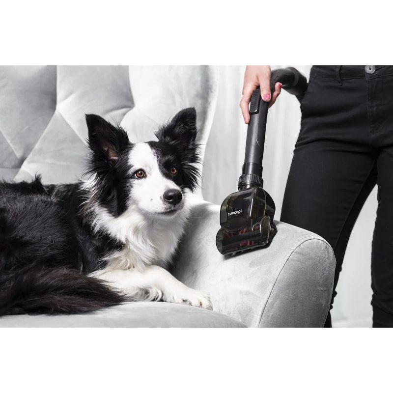 Furious Animal VP5151 CONCEPT Bagless Vacuum Cleaner AGD - Produkty/Odkurzacze Your Sports Performance