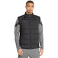 Puma teamLiga Vest M 657968 03 Clothing/Training Puma
