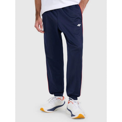 Men's jogger sweatpants 4F 4FRAW25TTROM1611-31S 4f