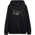 4F M 4FWAW25TSWSM1904 20S sweatshirt 4f
