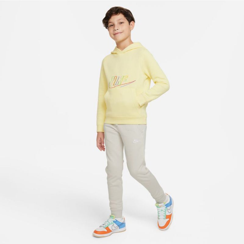 Sweatshirt Nike Sportswear Jr. DX5087-706 Clothing/Lifestyle Nike