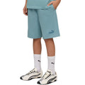 Puma ESS Small No. 1 Logo Kids Shorts Blue 692974 47
