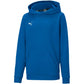 Puma teamGOAL 23 Casuals Hoody Jr 656711 02 Clothing/Running Puma