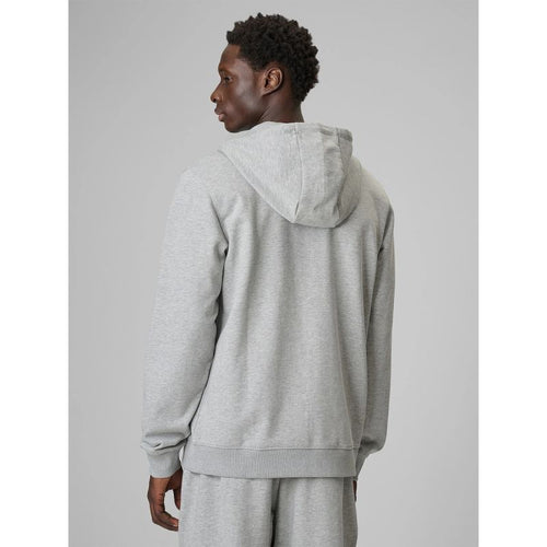 Men's regular hooded sweatshirt 4F 4FRMM00TSWSM3058-27M 4f
