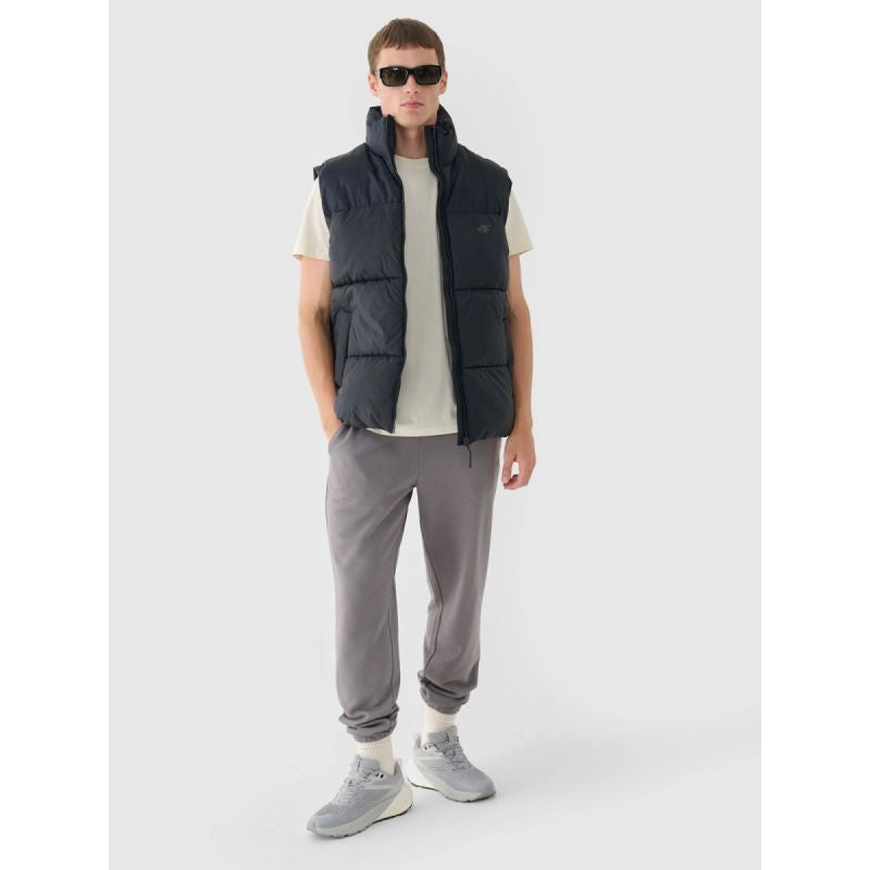 Men's regular plain T-shirt 4F 4FRAW24TTSHM2602-83S *Kategoria tymczasowa Your Sports Performance