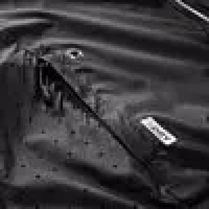 Iq Aslan Jacket Wmns W 92800483214 Clothing/Running Your Sports Performance