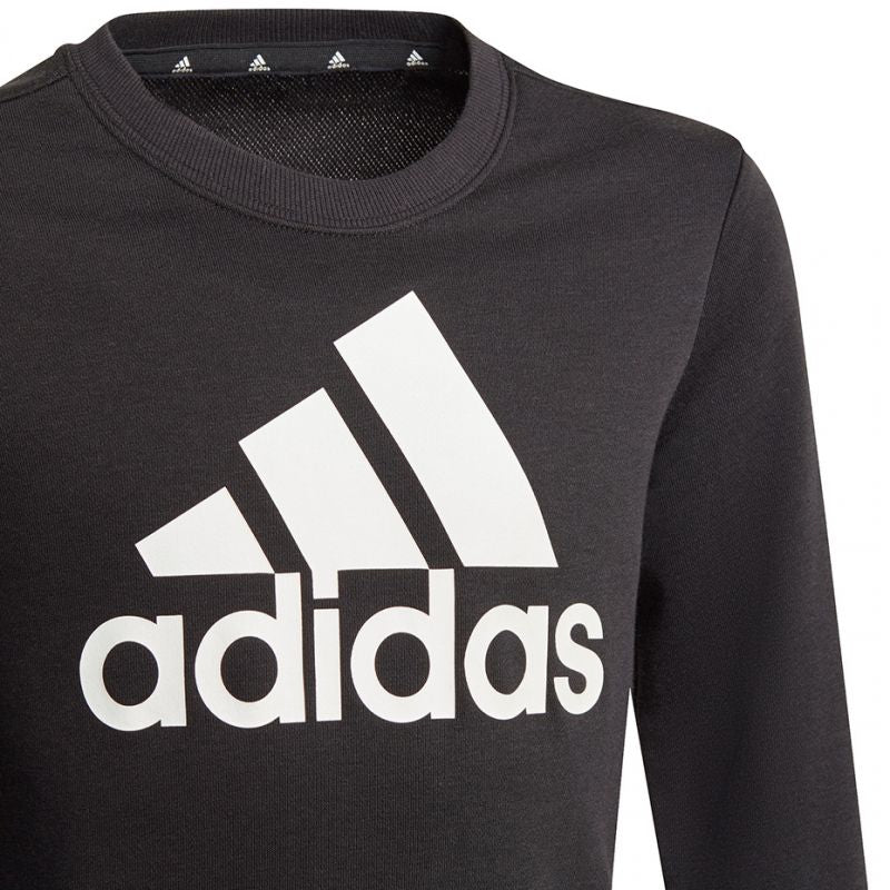 Sweatshirt adidas Essentials Big Logo Jr GP0040 Clothing/Lifestyle Adidas