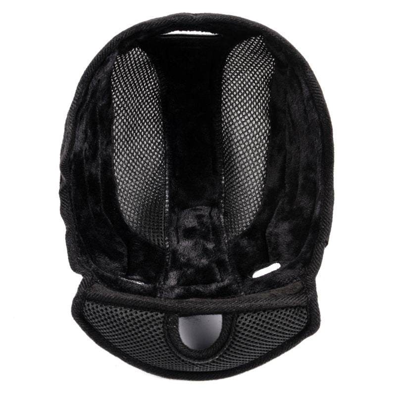 Meteor Holo 24965 Ski Helmet Accessories/Skiing/Helmets Your Sports Performance