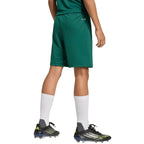 adidas Entrada 26 Kids' Shorts Green KE9831