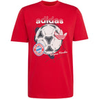 adidas FC Bayern Munich Seasonal Graphic Men's T-Shirt Red KG2586