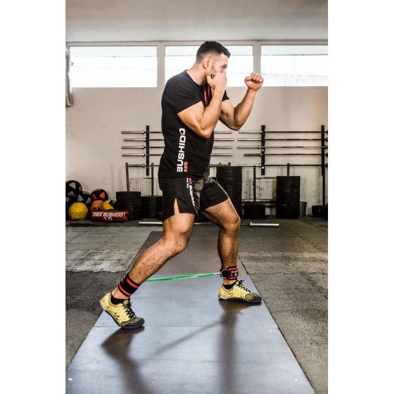 Set of Handles for Training Bands - ARW-753 DBX BUSHIDO uchwyty do gum Your Sports Performance