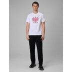 Men's fan t-shirt 4F 4FRSS26TTSHM4201-10S