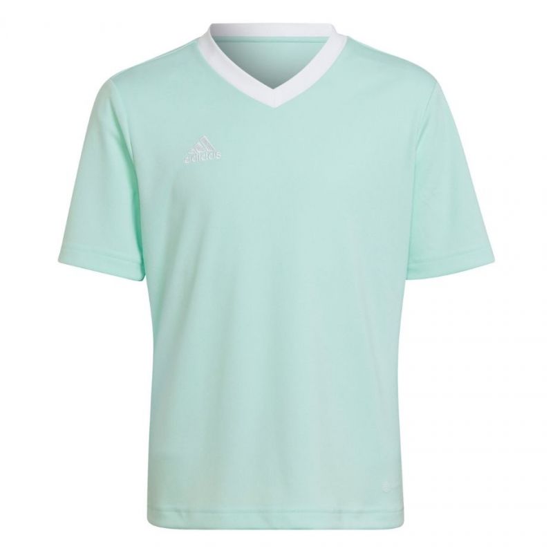 Tee adidas Entrada 22 Jersey Jr HC5078 Clothing/Training Adidas
