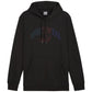 Puma Ess+ Logo LAB Gradient Hoodie FL M 681775 01 Clothing/Lifestyle Puma