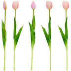 BOUQUET OF 5 LIGHT PINK TULIPS 39 CM LIKE LIFE SPRING DECORATION Home and Garden/Equipment Your Sports Performance