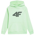 Sweatshirt 4F Jr. 4FJSS23TSWSM220 42S Clothing/Lifestyle/4F 4F