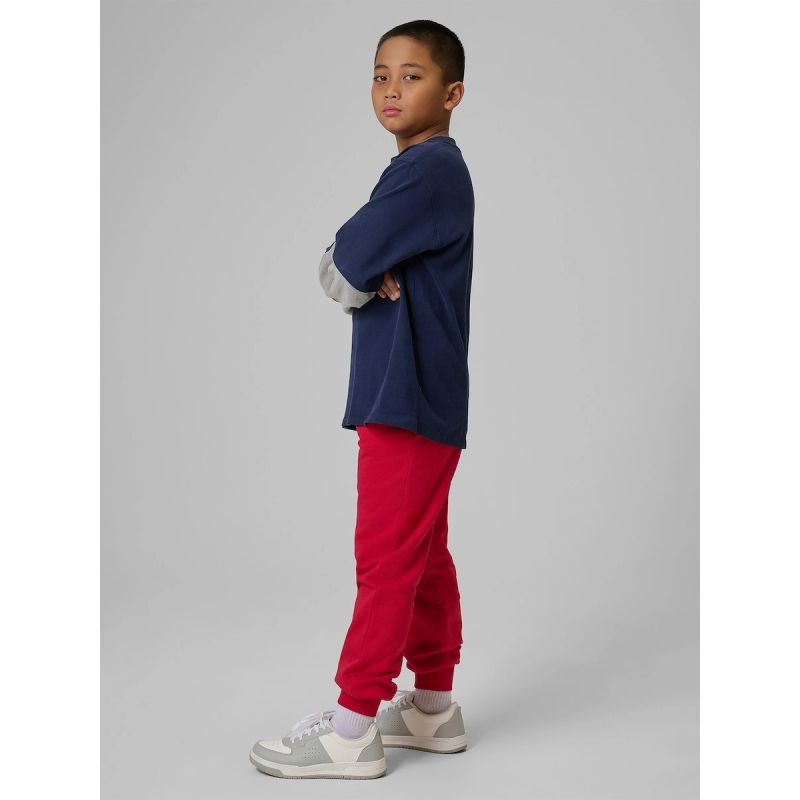 Boys' jogger sweatpants 4F 4FJRSS26TTROM1824-62S 4f