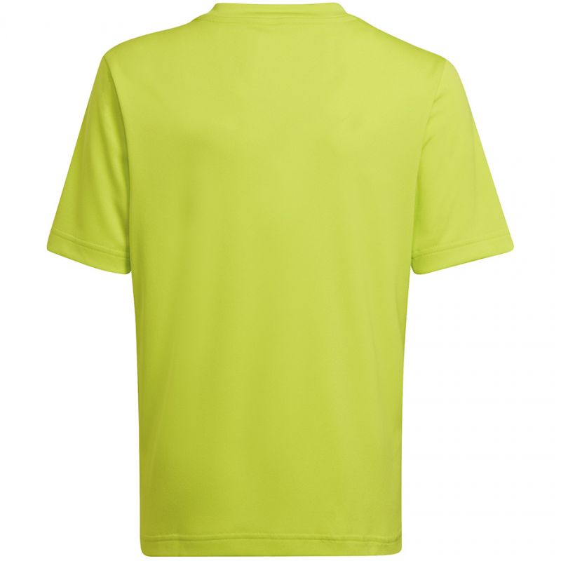 T-shirt adidas Entrada 22 Graphic Jersey Jr HF0133 Clothing/Football Adidas