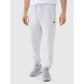Men's jogger sweatpants 4F 4FWMM00TTROM1139-27M *Kategoria tymczasowa Your Sports Performance