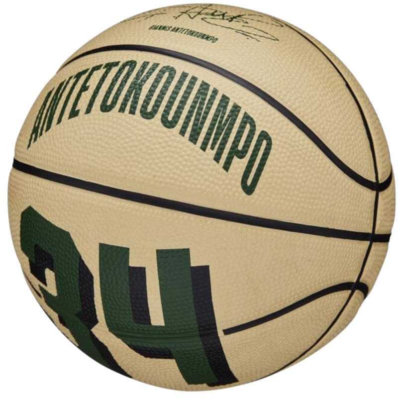 Basketball ball Wilson NBA Player Icon Giannis Antetokounmpo Mini Ball WZ4007501XB Accessories/Balls/Basketball Your Sports Performance