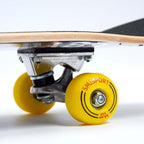 Skateboard SMJ sport BS-Q3108FC License Plates HS-TNK-000011611 Accessories/Skating Your Sports Performance