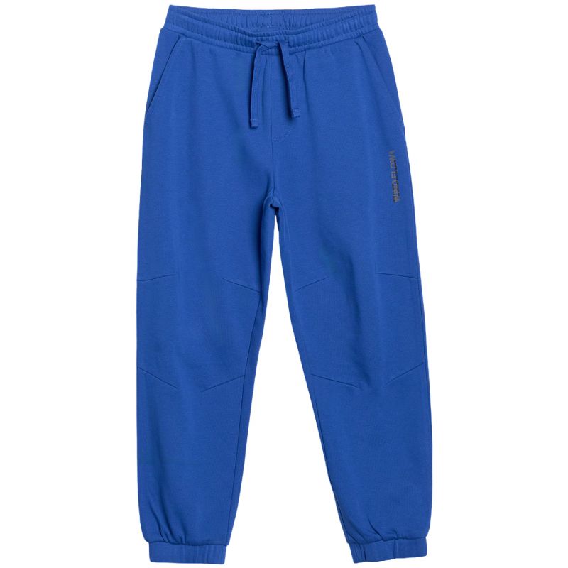 Trousers 4F CAS Jr 4FJWSS25TTROM0965 36S Clothing/Training/4F 4F