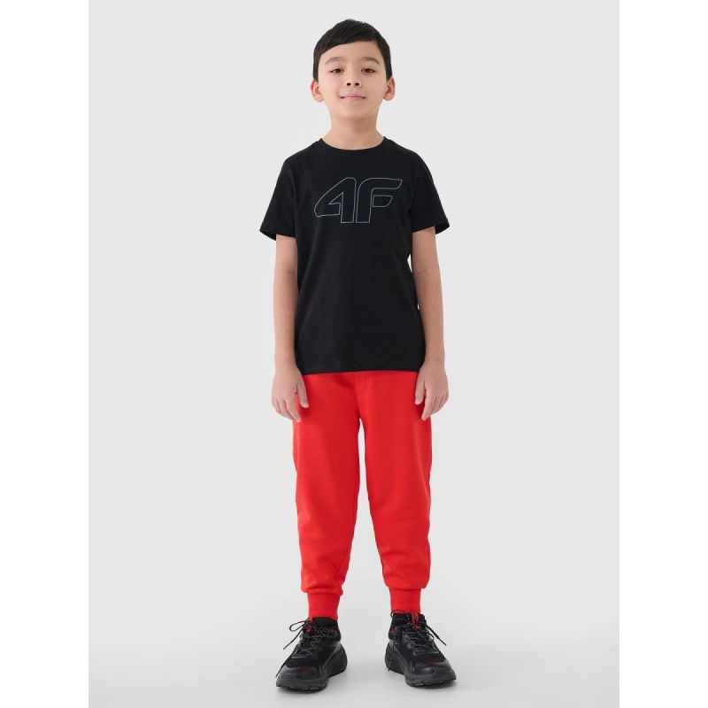 Boy's printed T-shirt 4F 4FJWSS25TTSHM2179-20S *Kategoria tymczasowa Your Sports Performance