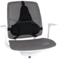 Fellowes Ergonomics Professional Back Support Cushion In preparation Your Sports Performance