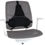 Fellowes Ergonomics Professional Back Support Cushion In preparation Your Sports Performance