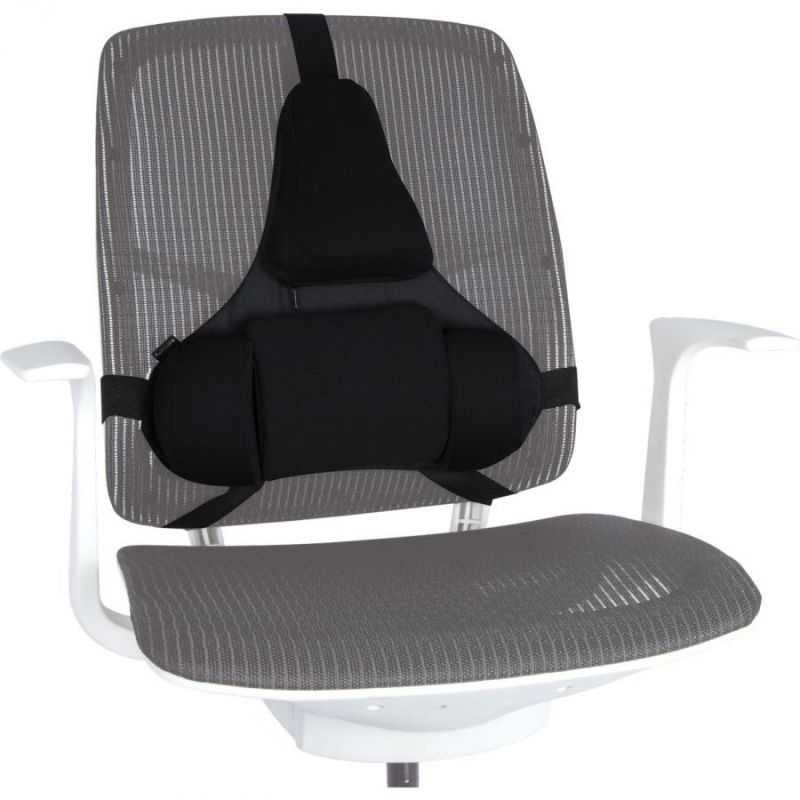 Fellowes Ergonomics Professional Back Support Cushion In preparation Your Sports Performance