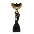 The 1898 Triumph Cup In preparation Your Sports Performance